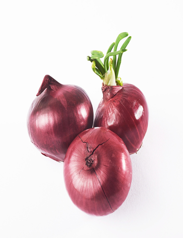 Onion