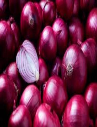 Malaysia-Onion